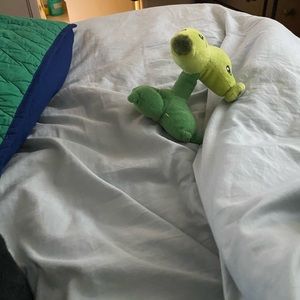 Meet your Posher, Erica